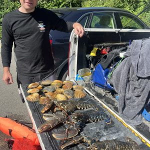 Freediving course Cornwall Newquay Uk foraging course for lobsters scallops